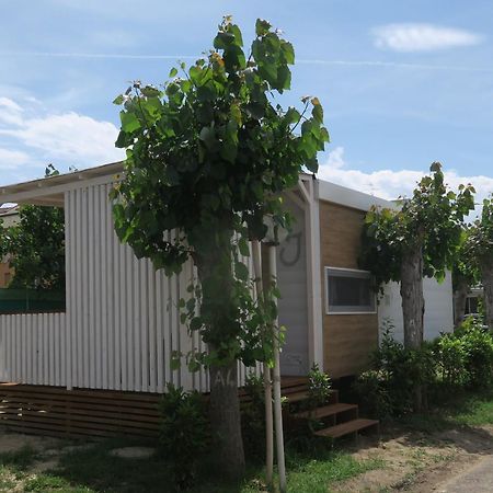 Camping Adriatico มาร์ตินซิกูโร ภายนอก รูปภาพ