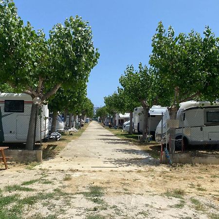 Camping Adriatico มาร์ตินซิกูโร ภายนอก รูปภาพ
