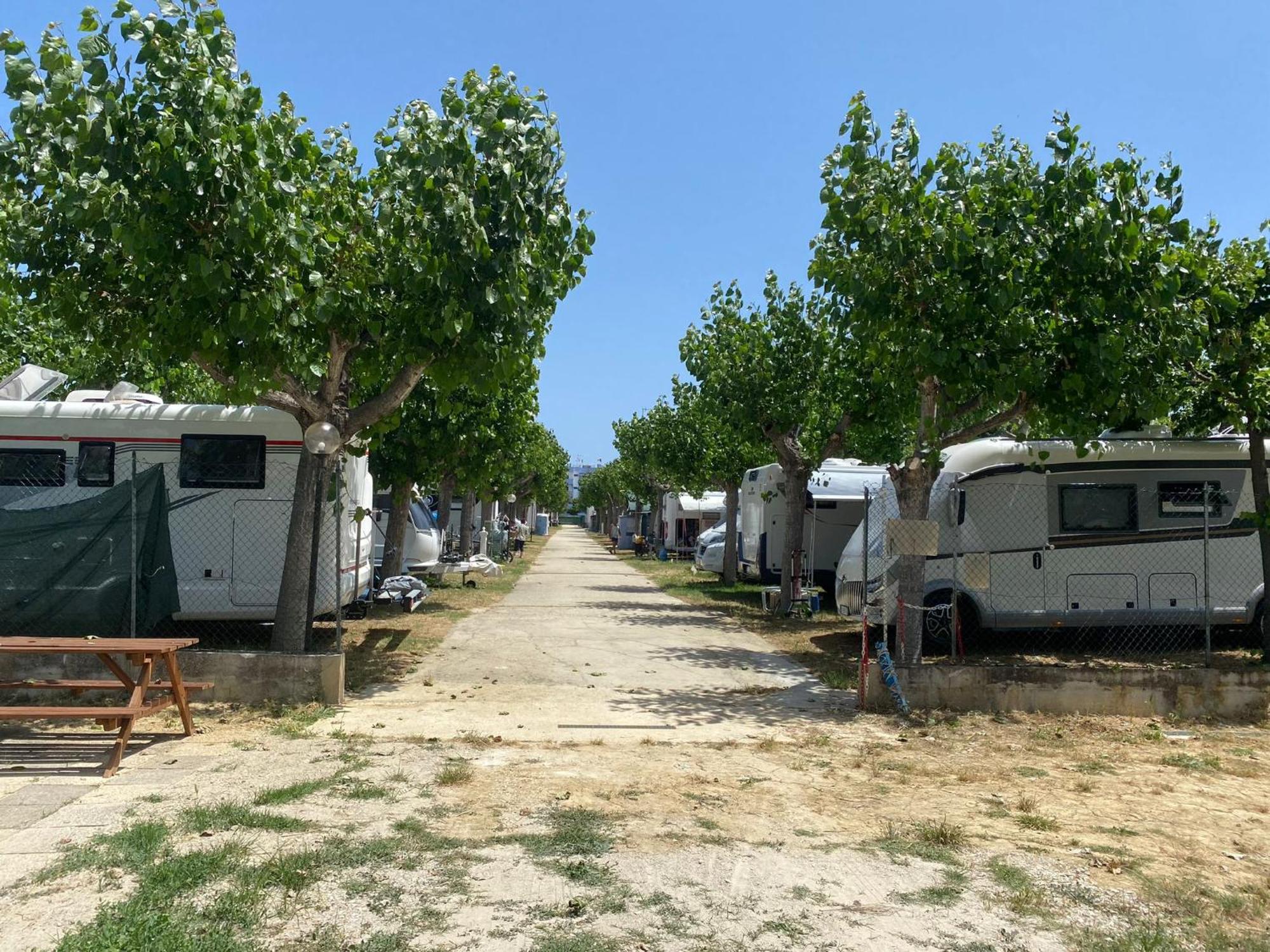 Camping Adriatico มาร์ตินซิกูโร ภายนอก รูปภาพ